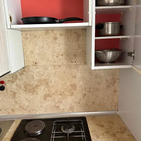 Apartment Apartma Pri Kosu