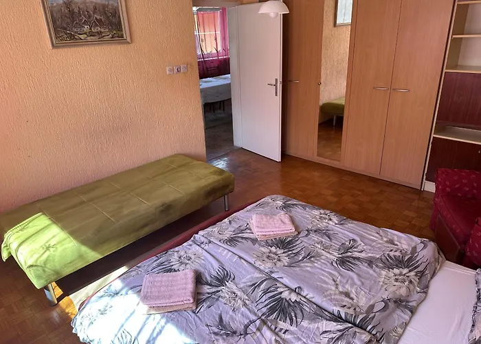 Apartma Pri Kosu 公寓 *